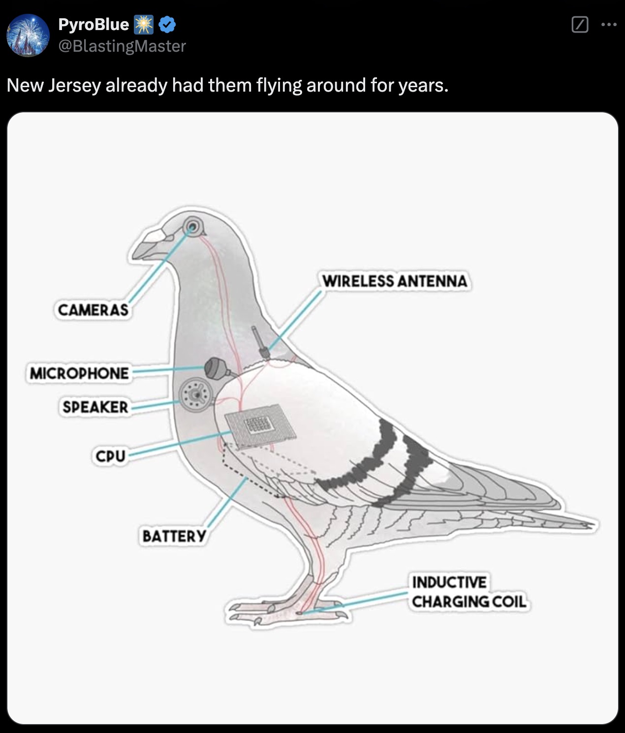 fake birds - PyroBlue New Jersey already had them flying around for years. Cameras Microphone Speaker Cpu Wireless Antenna Battery Inductive Charging Coil